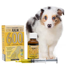 KING KALM 600mg CBD For Australian Shepherds