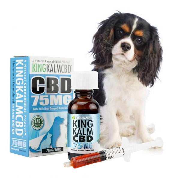 KING KALM CBD 75mg for King Charles Spaniels