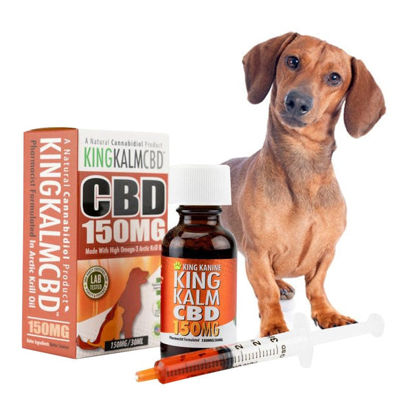 KING KALM CBD 150mg for Dachshunds