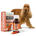 KING KALM CBD 150mg for English Cocker Spaniels