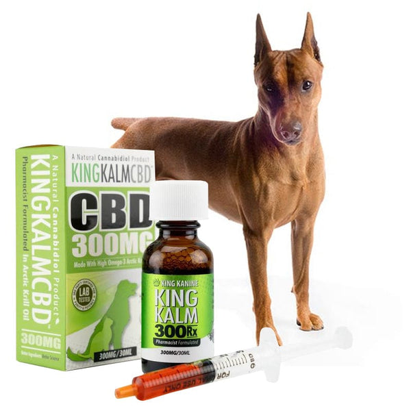 KING KALM CBD 300mg for German Pinschers