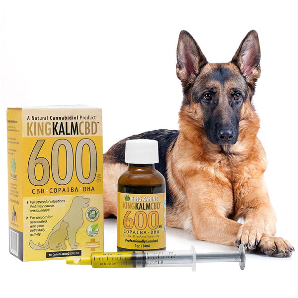 KING KALM 600mg CBD For German Shepherds
