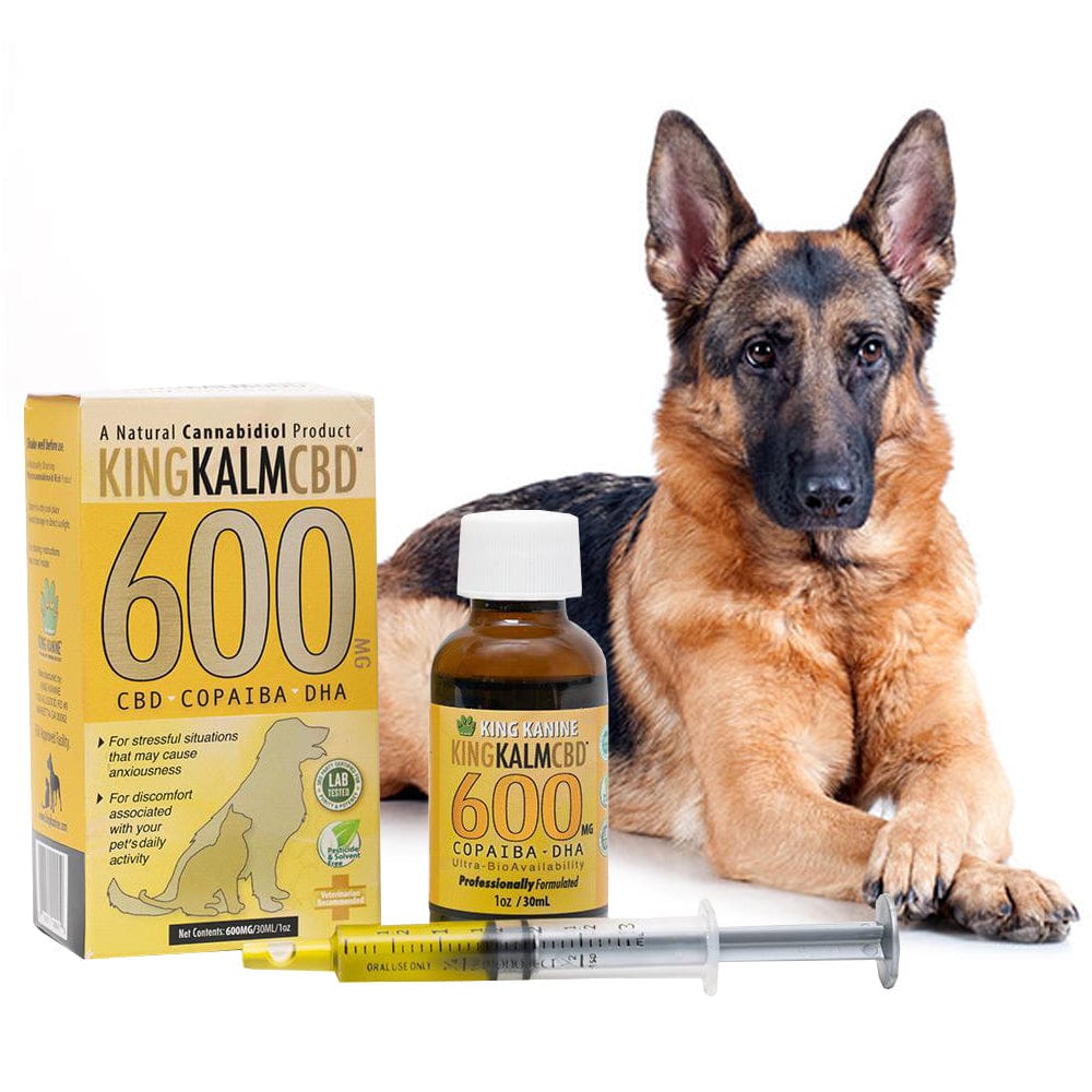 Everything To Know About CBD For German Shepherds King Kalm CBD