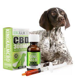 KING KALM CBD 300mg for German Shorthaired Pointers