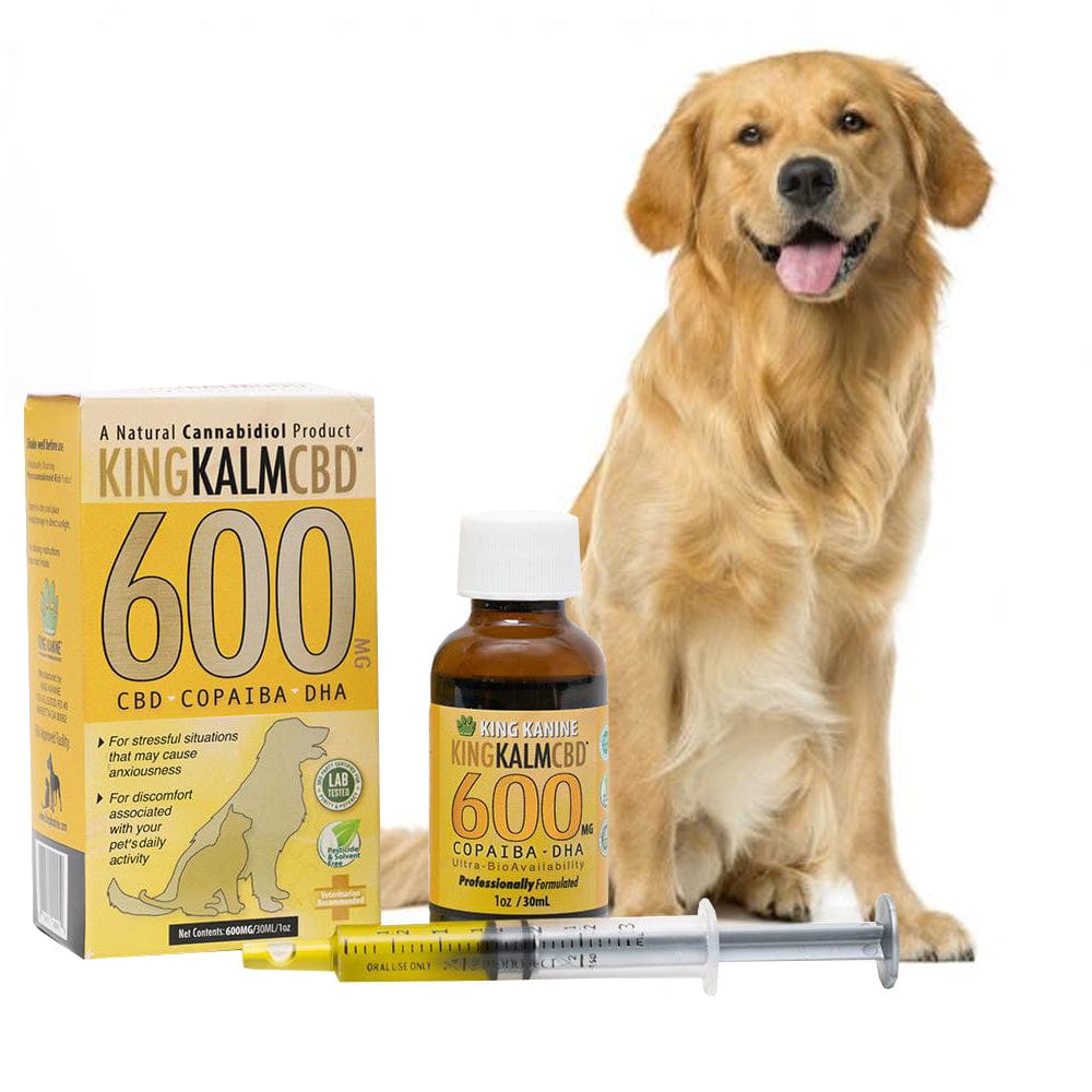 600mg CBD For Dogs Atlanta