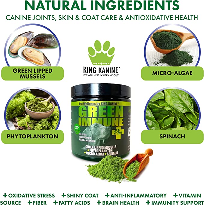 Healthy greens for sales dogs