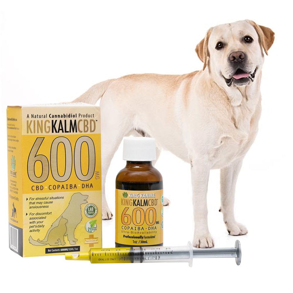 KING KALM 600mg CBD Oil For Labrador Retrievers