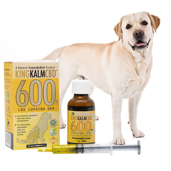 Labrador supplements new arrivals