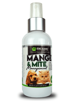 Mange In Dogs Try Our Mange Mite Management Spray