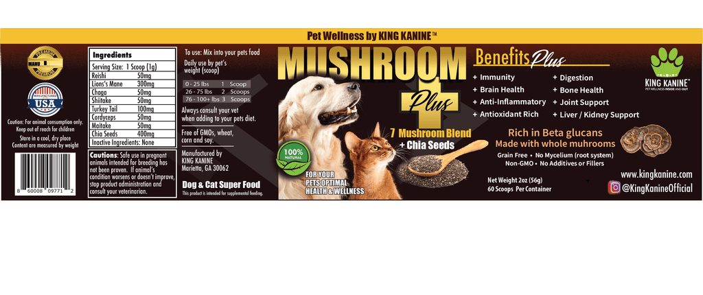 Mushroom Plus And Benefits
