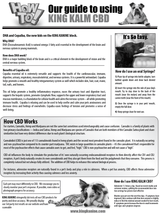 600mg CBD For Dogs New York