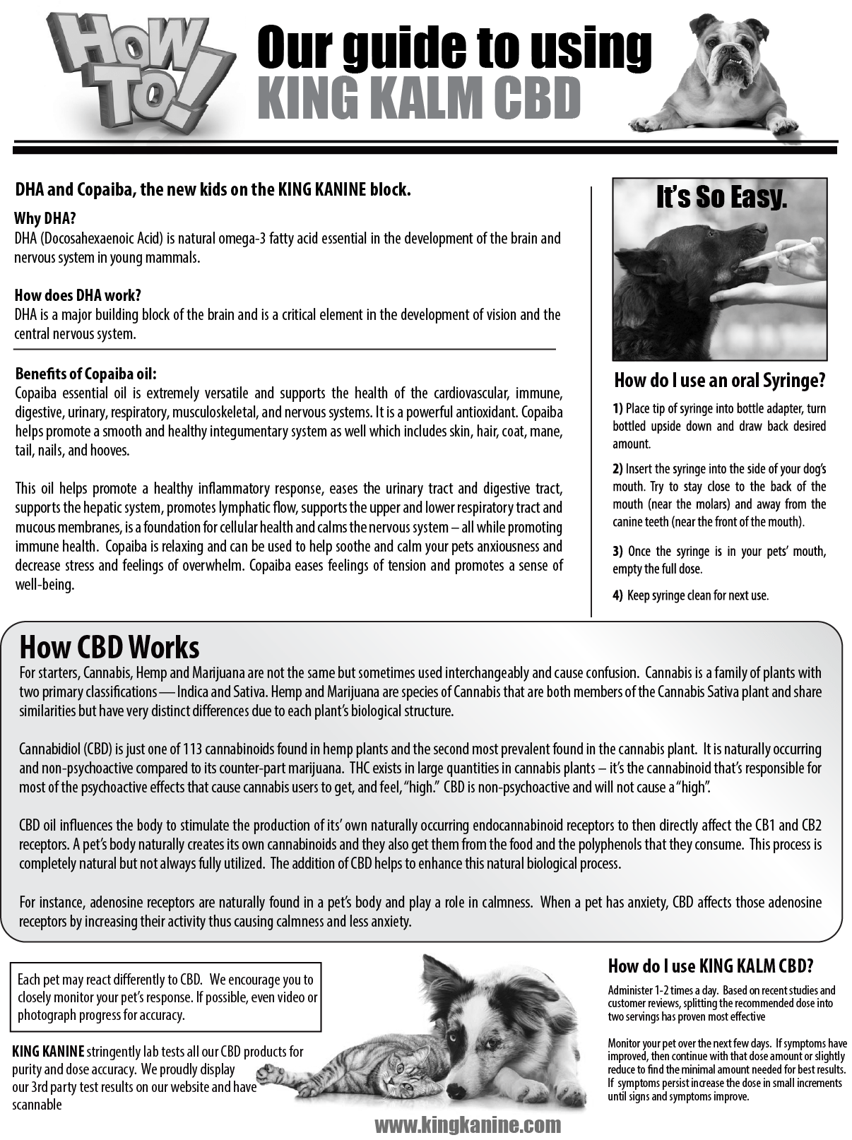 KING KALM 600mg CBD For Chinooks