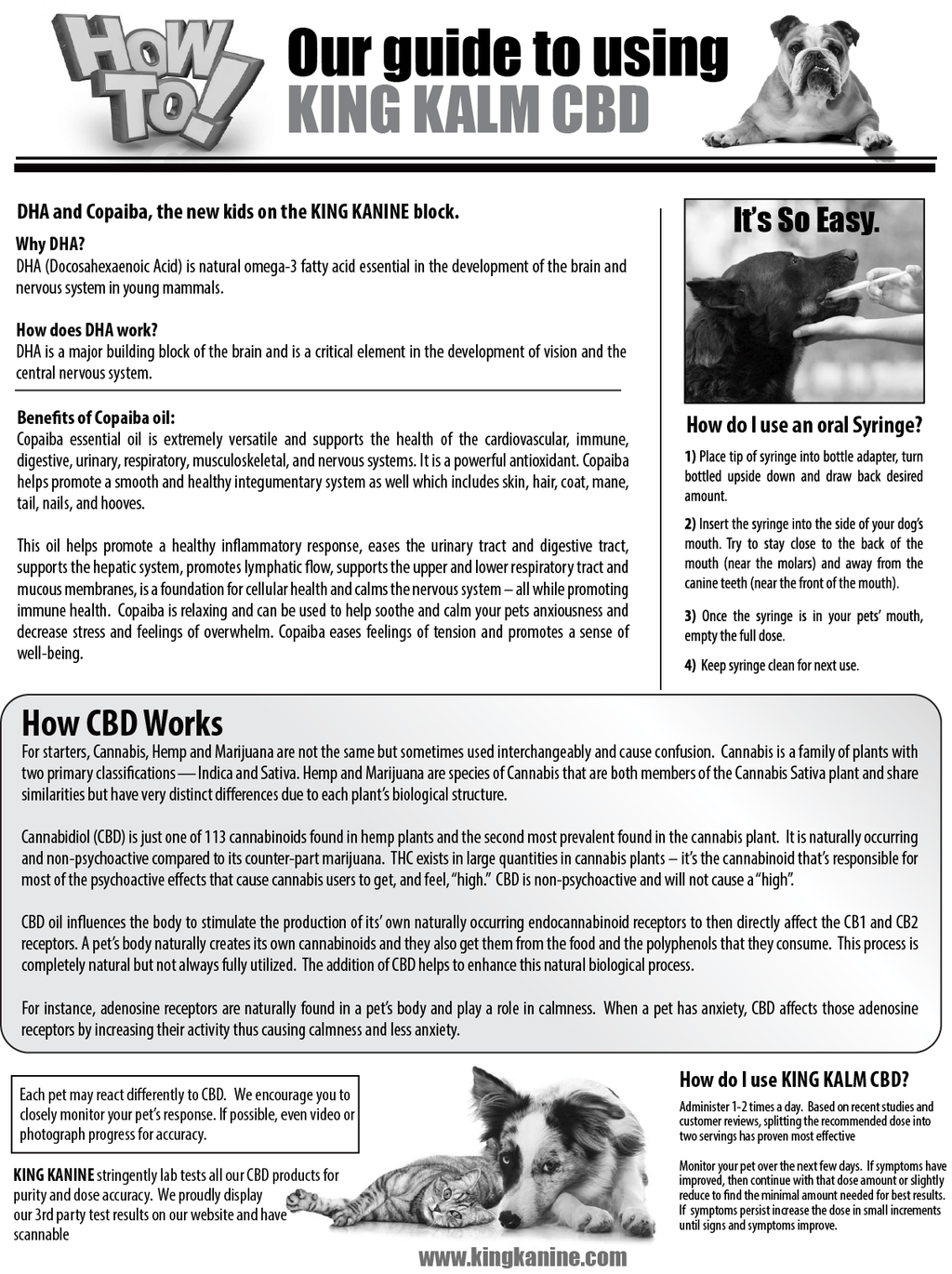 KING KALM 600mg CBD For Mastiffs