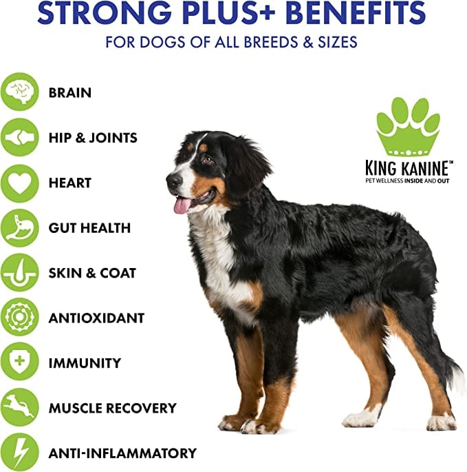 Strong Plus + Probiotic, Protein, &amp; Joints - for Dogs &amp; Cats