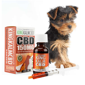 KING KALM CBD 150mg for Yorkshire Terriers